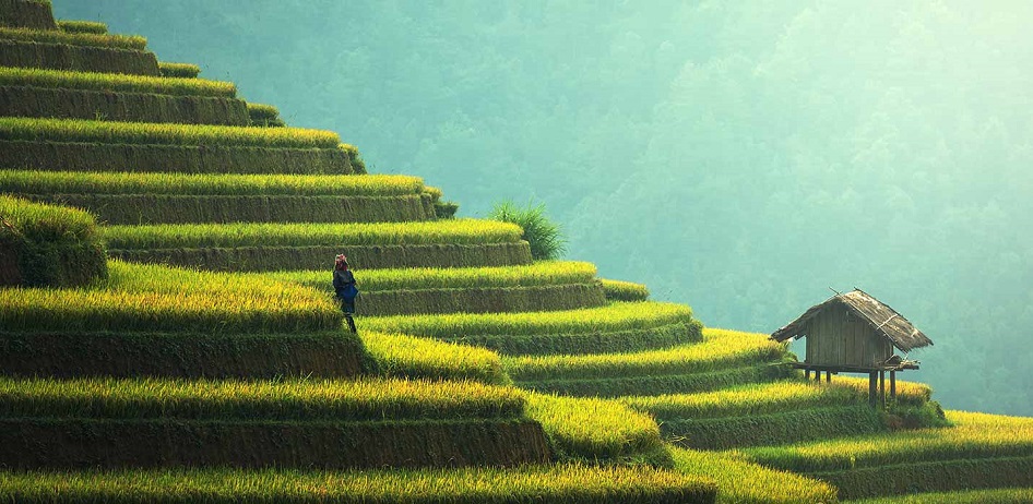 Enchanting Assam: A Journey through Time and Tradition